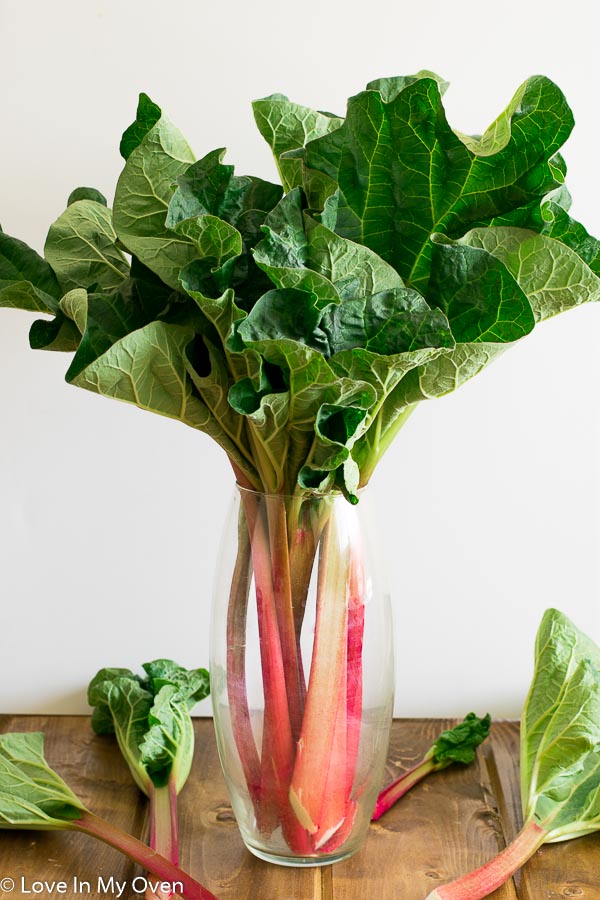 rhubarb