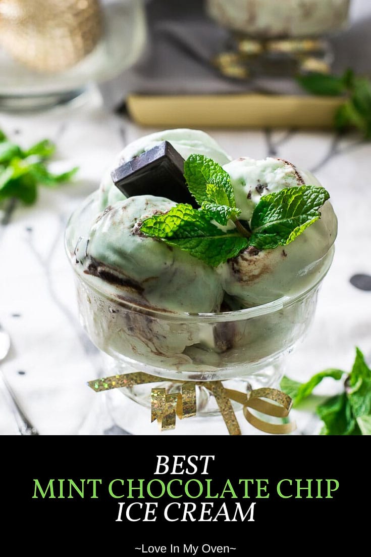 Best Mint Chocolate Chip Ice Cream