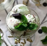 best mint chocolate chip ice cream