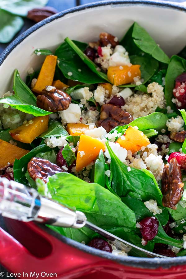 Roasted Butternut Squash and Cranberry Salad