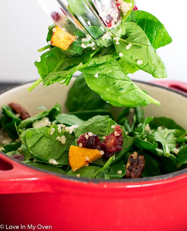 Roasted Butternut Squash and Cranberry Salad