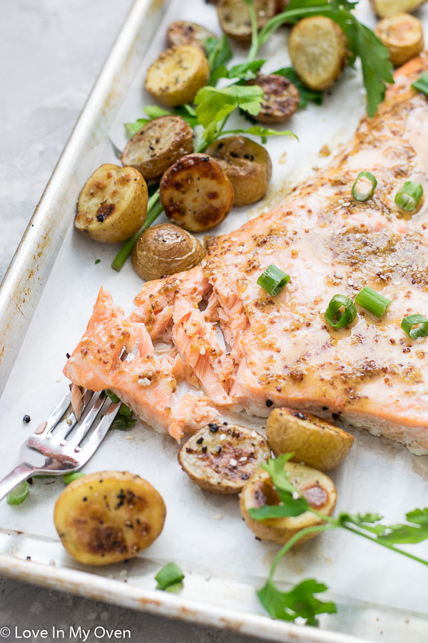 Maple Dijon Salmon - Love In My Oven