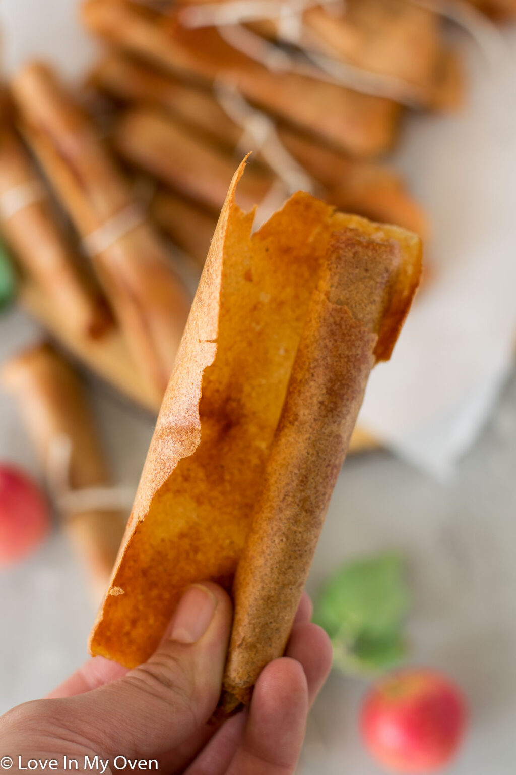 Apple Fruit Leather Love In My Oven