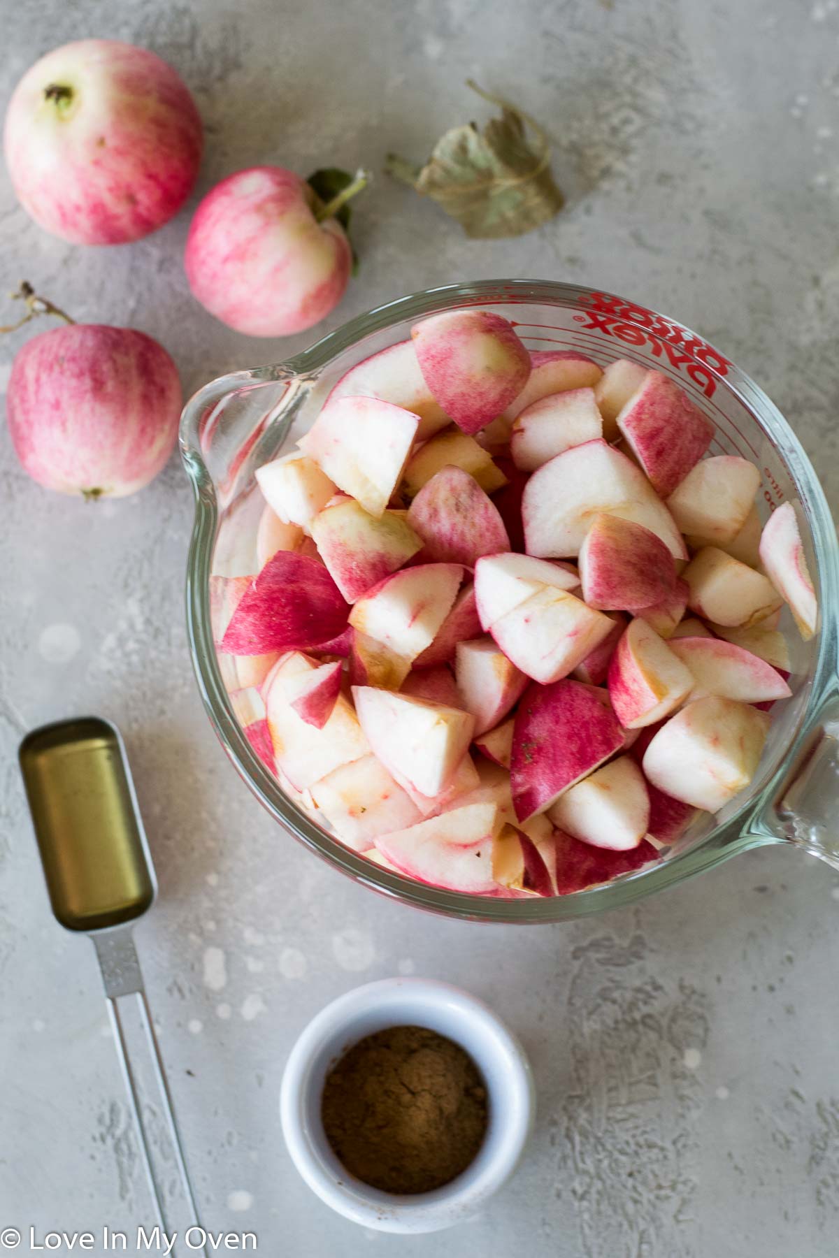 apple fruit leather