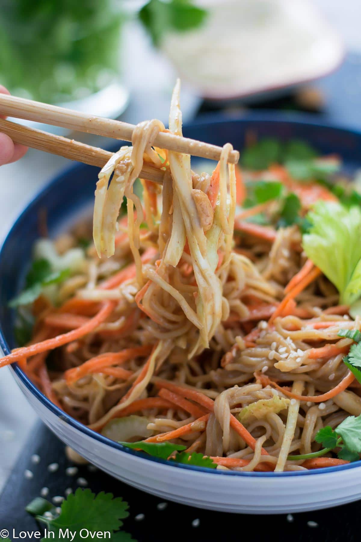 sesame peanut noodle salad