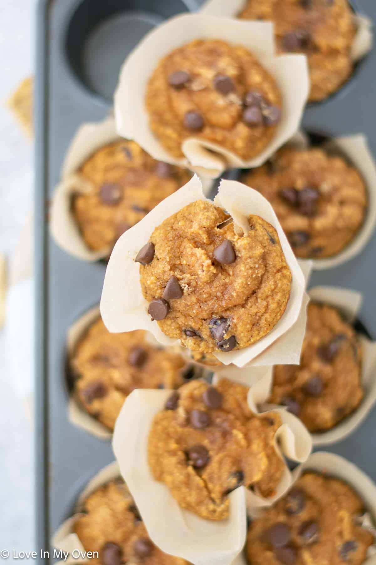 almond flour pumpkin muffins