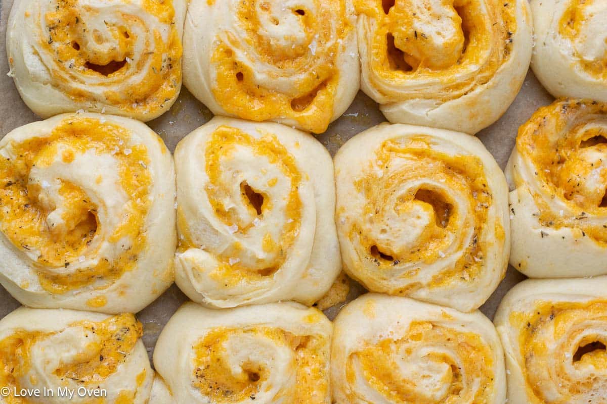 その他 crazy gugu bakery cheese bread roll その他 crazy gugu bakery cheese bread roll sourdough cheese rolls