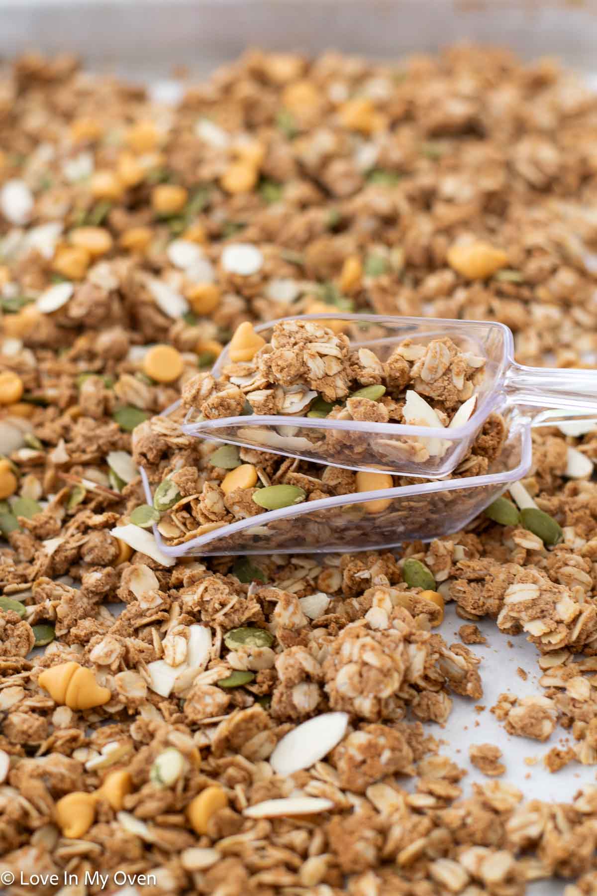 high protein granola